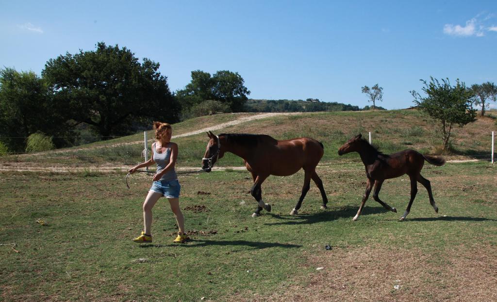 Podere Calledro นาร์นี ภายนอก รูปภาพ
