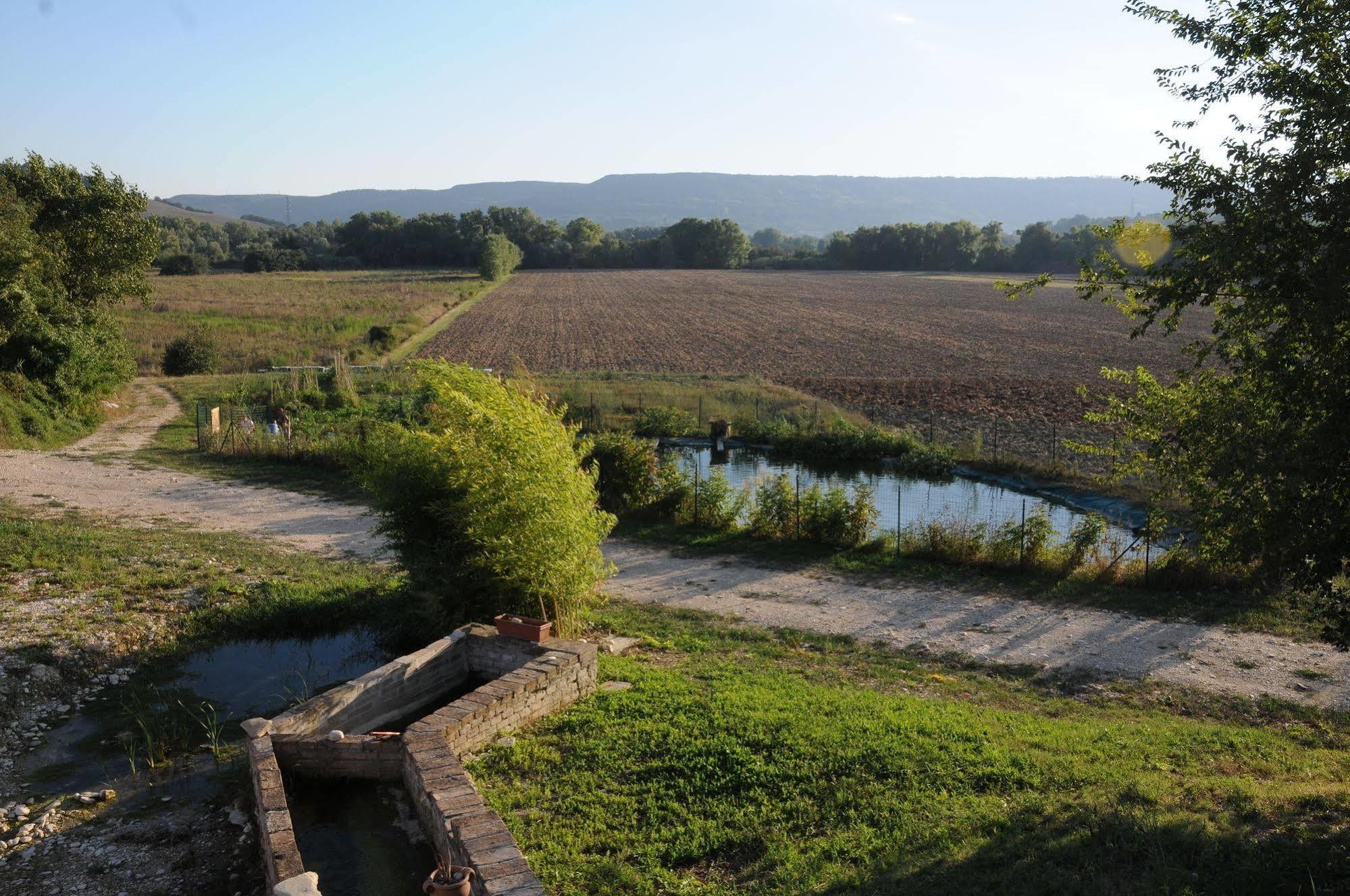 Podere Calledro นาร์นี ภายนอก รูปภาพ